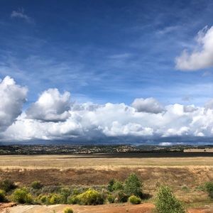 Meet your Posher, Bryn